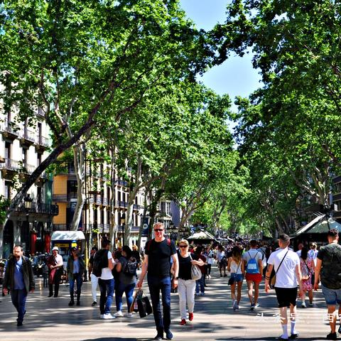 沈阳大城印象相关长尾关键词有哪些