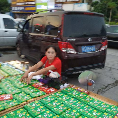 东莞市哪里可以寄养乌龟