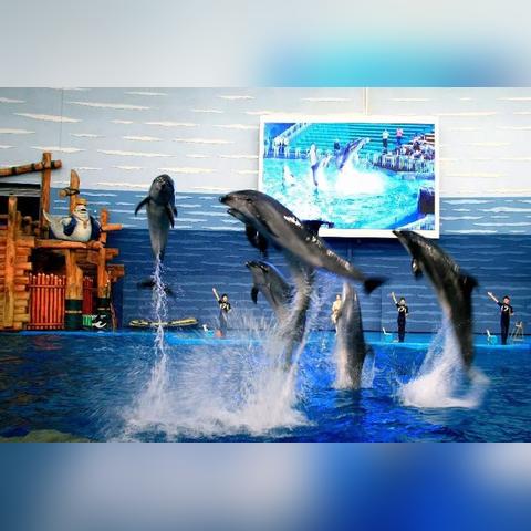 解放军大连403医院的长尾关键词有什么