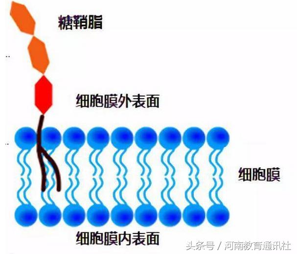 饲料研究论文网站海天酱油还能不能买