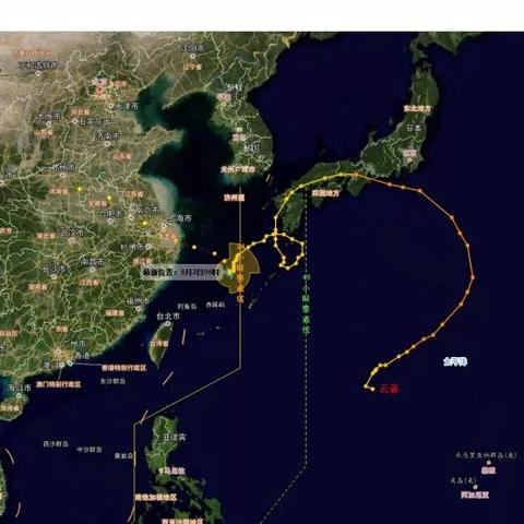 关于上海台风结界相关关键词有哪些