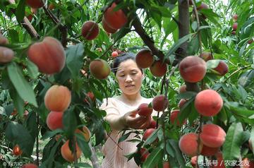 桃子妹桂林相关长尾关键词有哪些