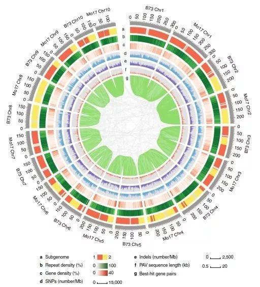 基因组学与应用生物学参考文献自动生成基因组学科学意义