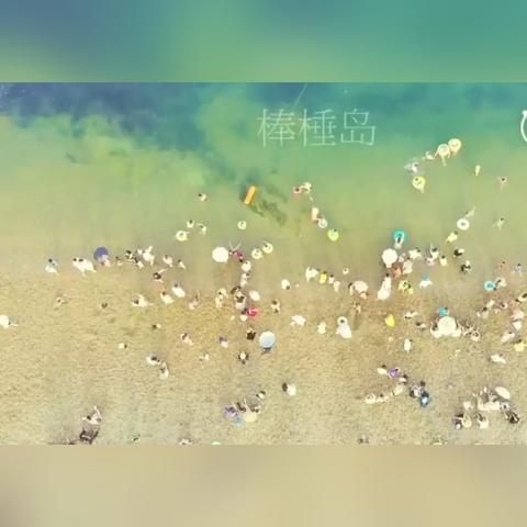 大连市的夏家河是哪个镇