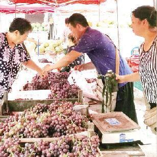 潍坊市桃子采摘的长尾关键词有什么