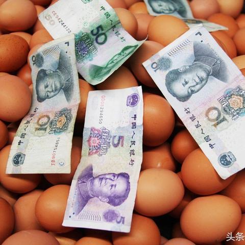 【河南今日鸡蛋价格】2025年6月15日河南鸡蛋价格是多少