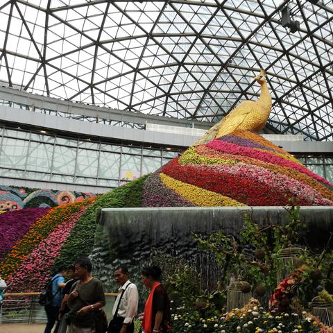 武汉鲜花连锁的长尾关键词有哪些