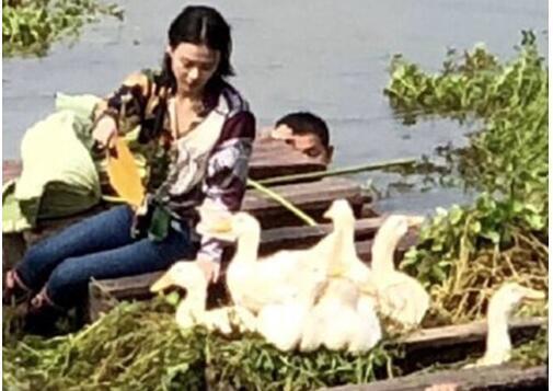 抖音抓鸭子是什么梗什么意思