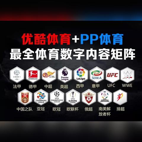 爱奇艺足球多少钱会员