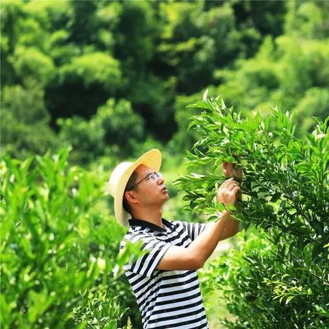 重庆梁平时时天气预报的长尾关键词有什么