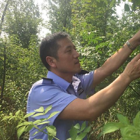 河南周氏来源的相关长尾关键词有哪些