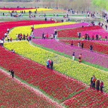 合肥市农业政策奖补在哪里看