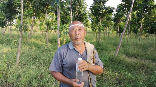 农村放羊挣钱吗？80岁老人告诉你100只羊一年能挣多少钱，多吗？
