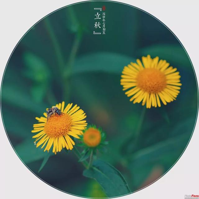 处暑后逐渐入秋