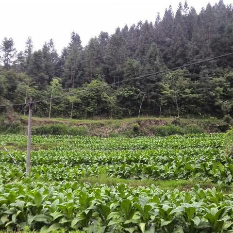 厦门市龙岩路是哪个区管