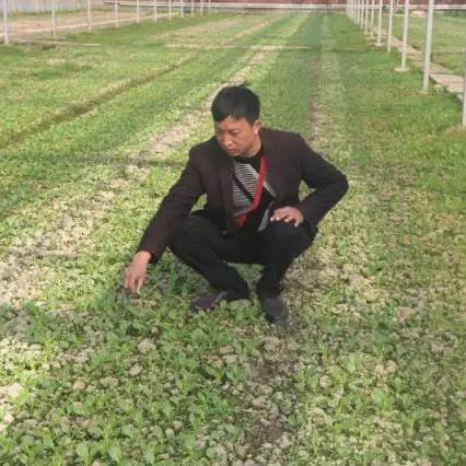 温州市哪里服装厂