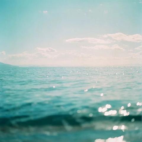 广州市白云区什么时候摇车牌