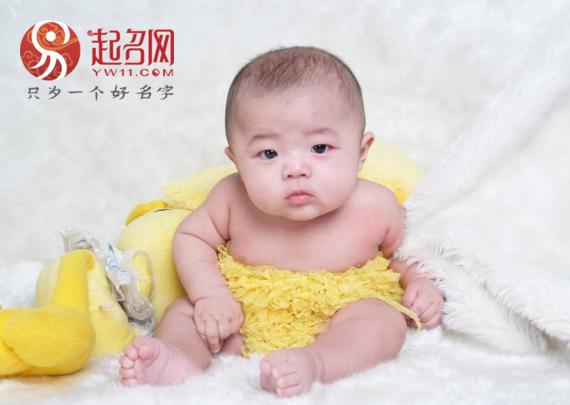 宝宝狗年起名,宠物听得懂自己的名字吗