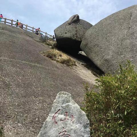 去猫儿山怎么回桂林市
