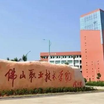 武汉市和佛山市哪个大些