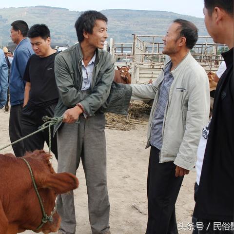 生肖马农历每月运势(生肖马农历每月运势如何)