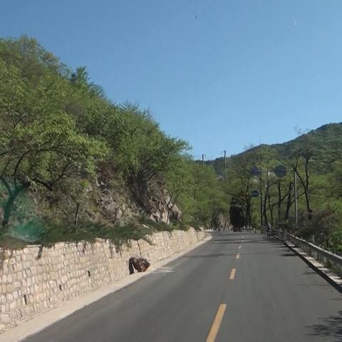 北京的空气怎么样