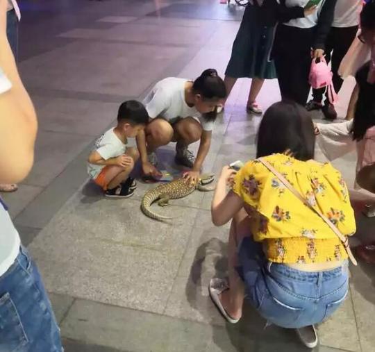 女子郑州街头遛蜥蜴森林公安介入；只因多看了一眼民警识破逃犯