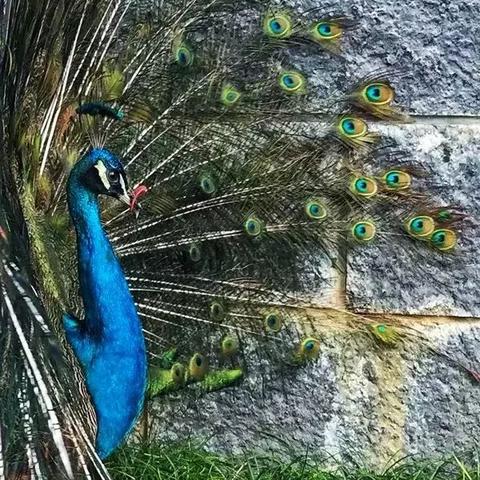 广西桂林酒店11楼女相关长尾关键词有哪些