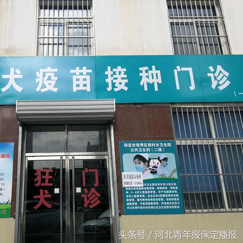 河北省保定市狂犬病例的长尾关键词有哪些