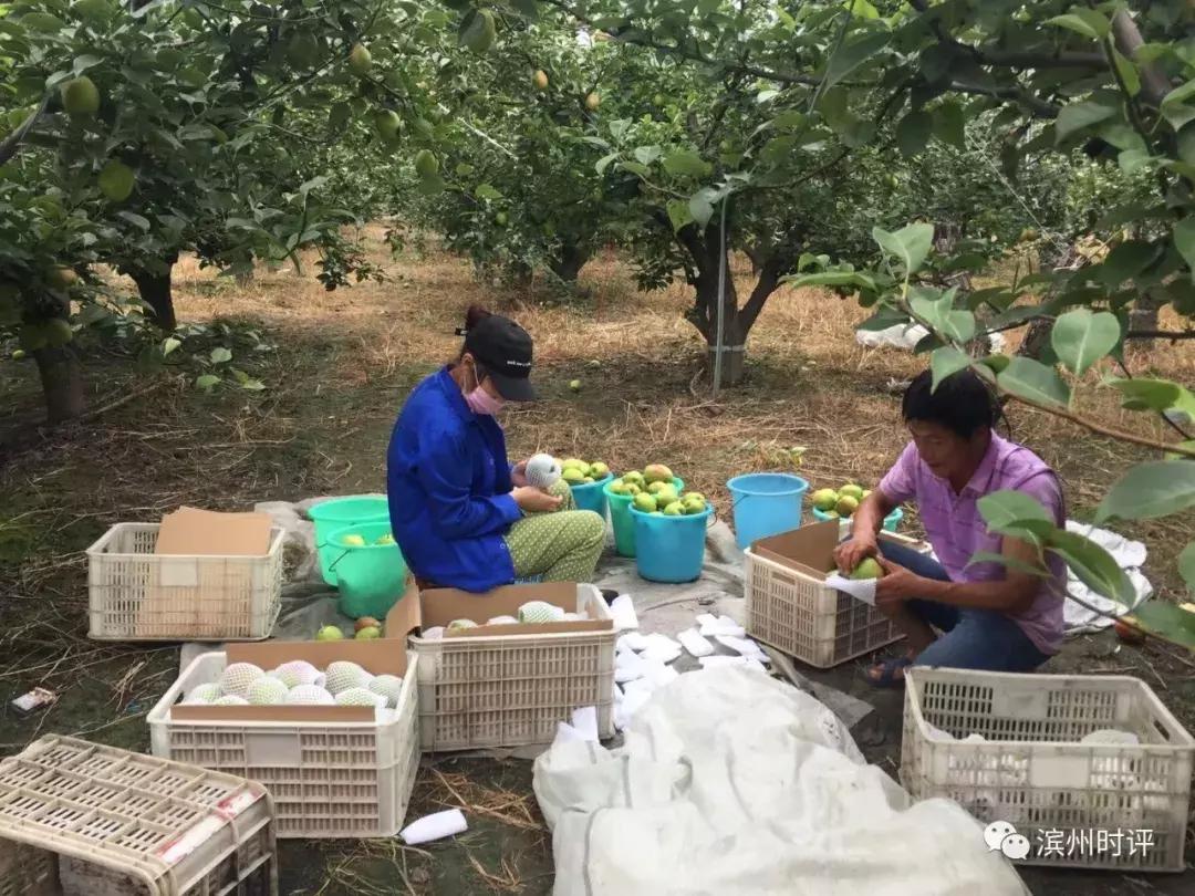 山东滨州宝宝起名怎么样(黄河在济南的什么位置)