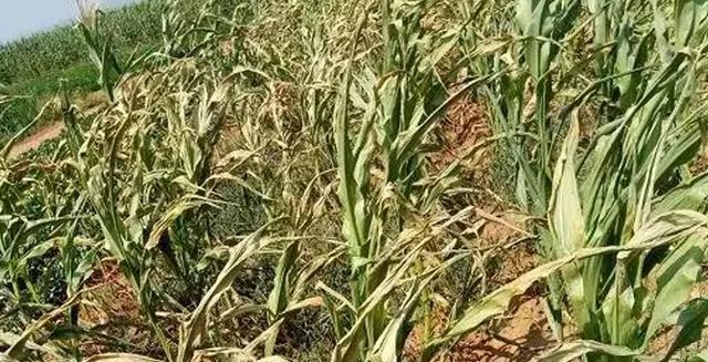 辽宁鞍山新增1例
,-图1 辽宁鞍山新增1例
,-图1