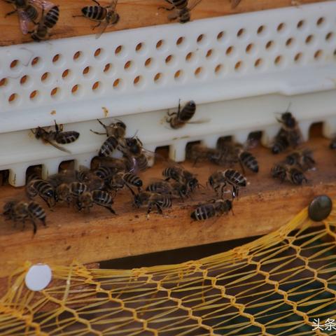 我的心愿想去桂林作文相关长尾关键词有哪些