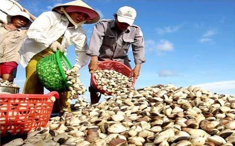 美国限令之后，越南水产品“泛滥成灾”，或转向中国出口？