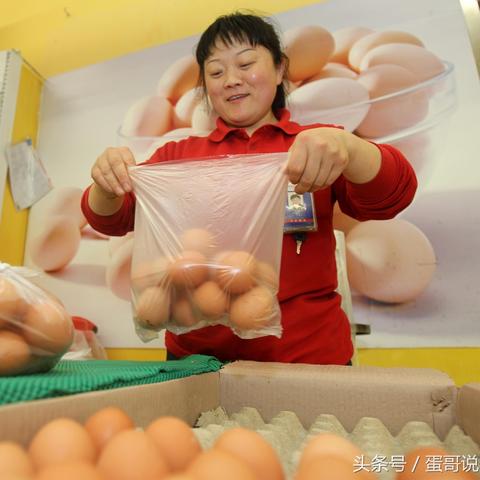 今日蛋价行情河南的相关长尾关键词有哪些