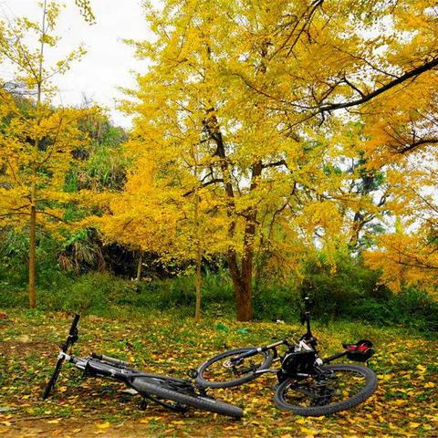 桂林市摄影团购网站有哪些