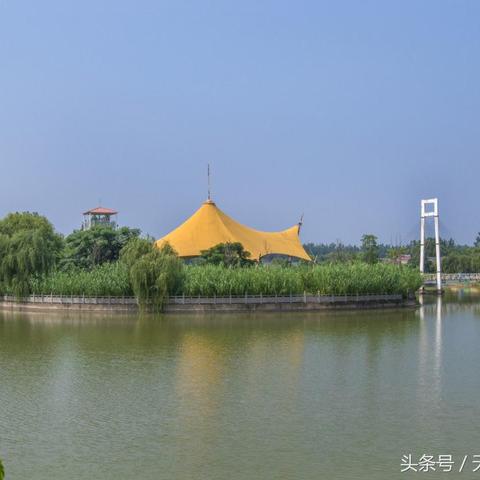 周口市美术生人数多少