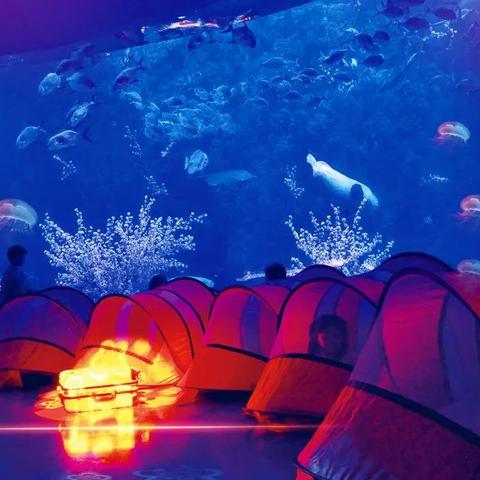 天津极地海洋馆怎么样