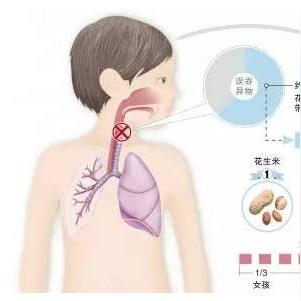 桂林市哪里有卖龙眼果苗