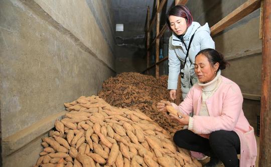 单亲妈妈带5岁女儿卖红薯，3年还清10万债攒下一套房