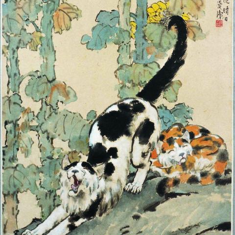 墨圈软件的长尾关键词有什么