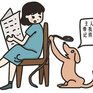 苏州市可以养什么大型犬