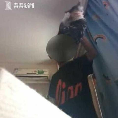 沈阳虏猫案相关长尾关键词有哪些