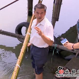 苏州市的非遗美食是什么 苏州市的非遗美食是什么