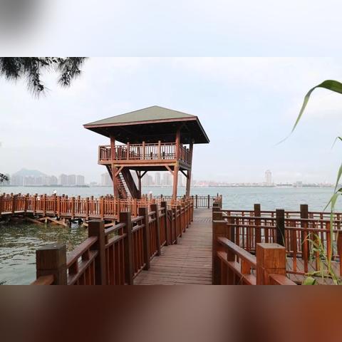 厦门自然风景哪里好？