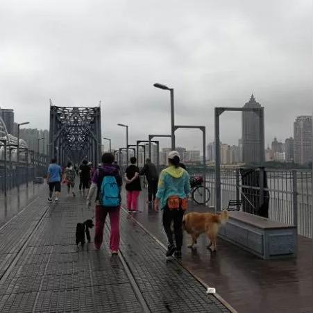 哈尔滨市哪里有宠物市场