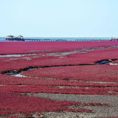 大连老虎滩到星海的长尾关键词有什么