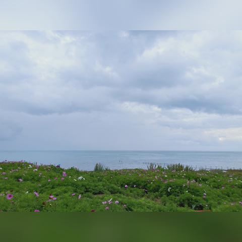 西宁去西安飞机相关长尾关键词有哪些