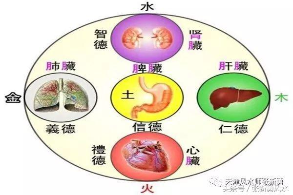 风水改变命运_人的命运可以被预测吗
