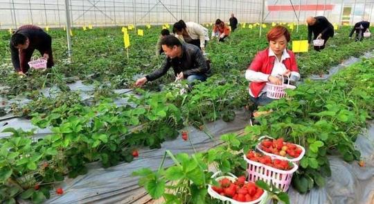 农村创业好项目，都来看看吧