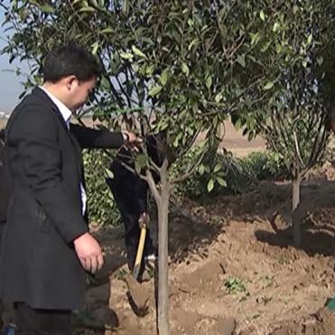 周口市财政的长尾关键词有哪些